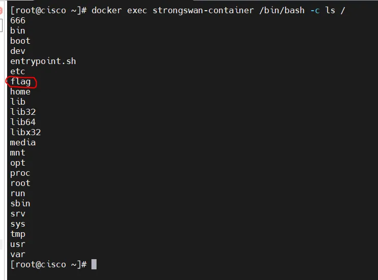 image-20250806032638060